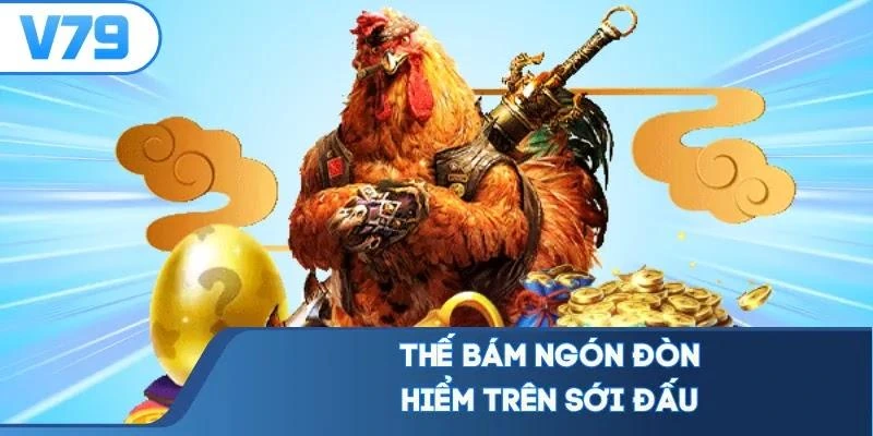 Thế bám ngón đòn hiểm trên sới đấu